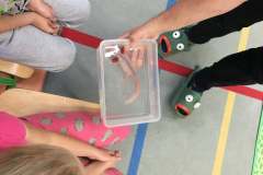 2025-06-13_0009