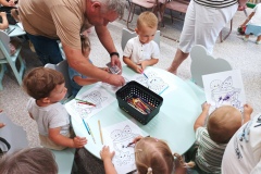 IMG_20260729_110344